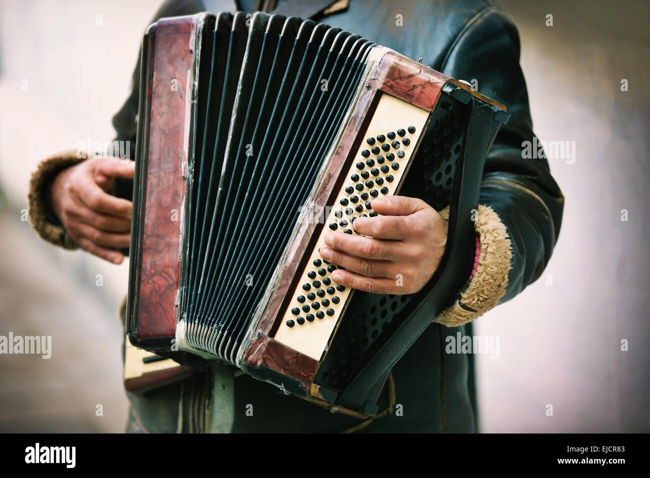 Musicista che suona la fisarmonica immagini e fotografie stock ad alta