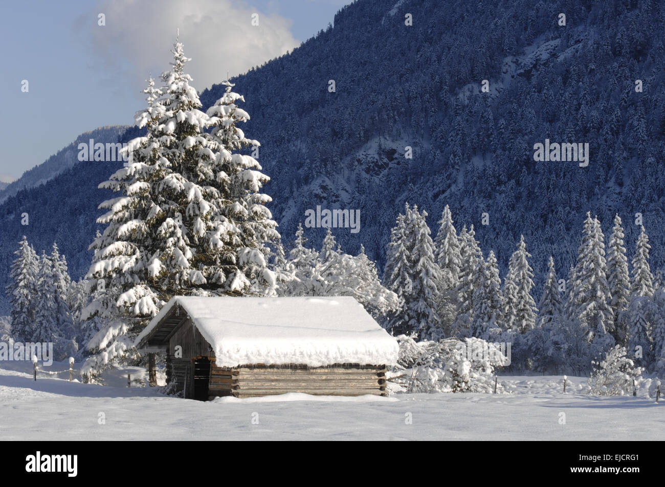 Singola baita in inverno con tanta neve Foto Stock