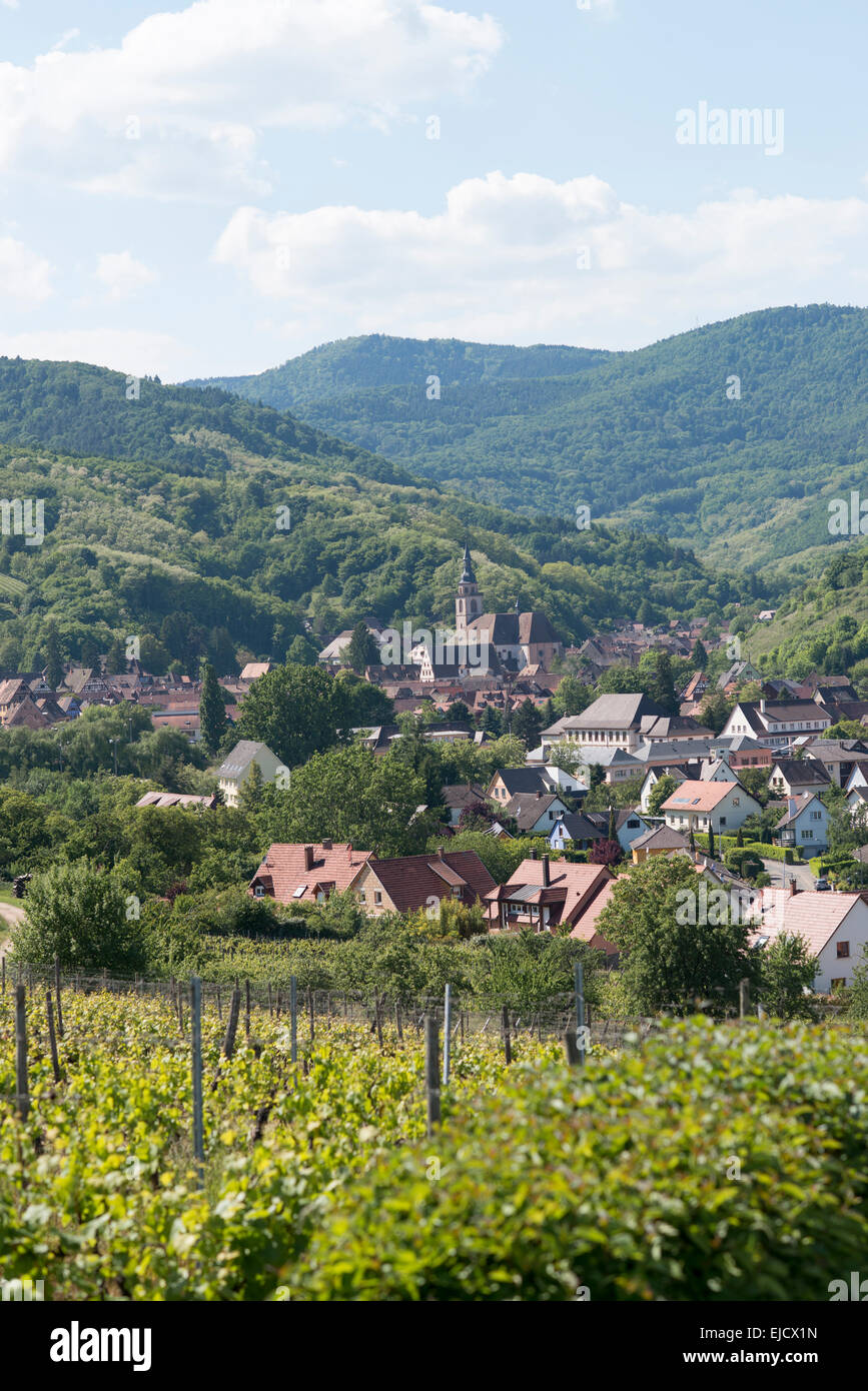 Villaggio di Andlau tra vigneti, Alsazia, Francia Foto Stock