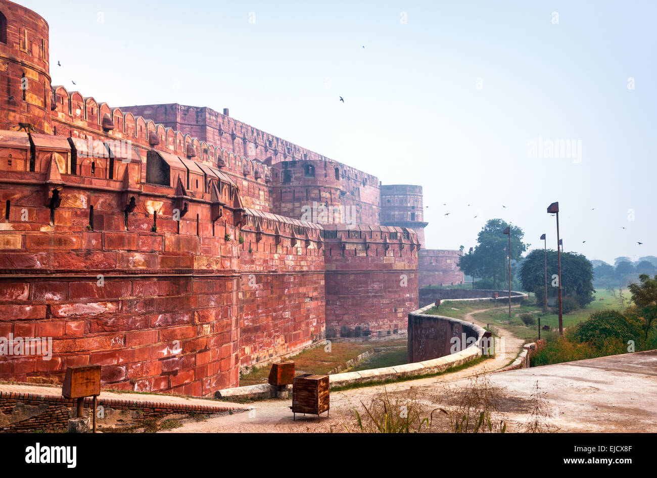 Red Ford nella nebbia mattutina, Agra, India Foto Stock