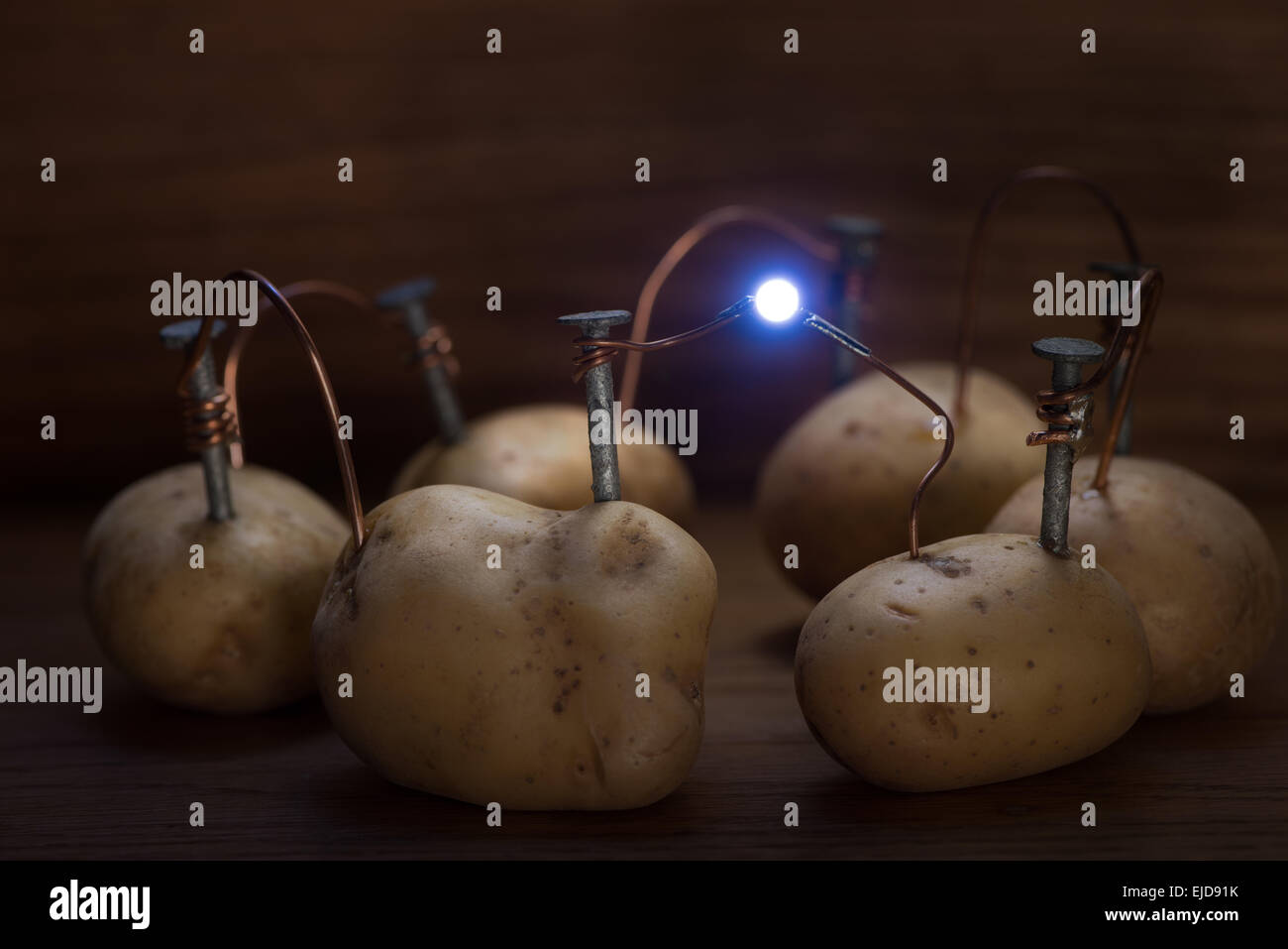 Fonte di energia alternativa di corrente elettrica della fecola di patate  disposte in serie fornisce tensione alla luce della lampadina a led con  elettrodi Foto stock - Alamy