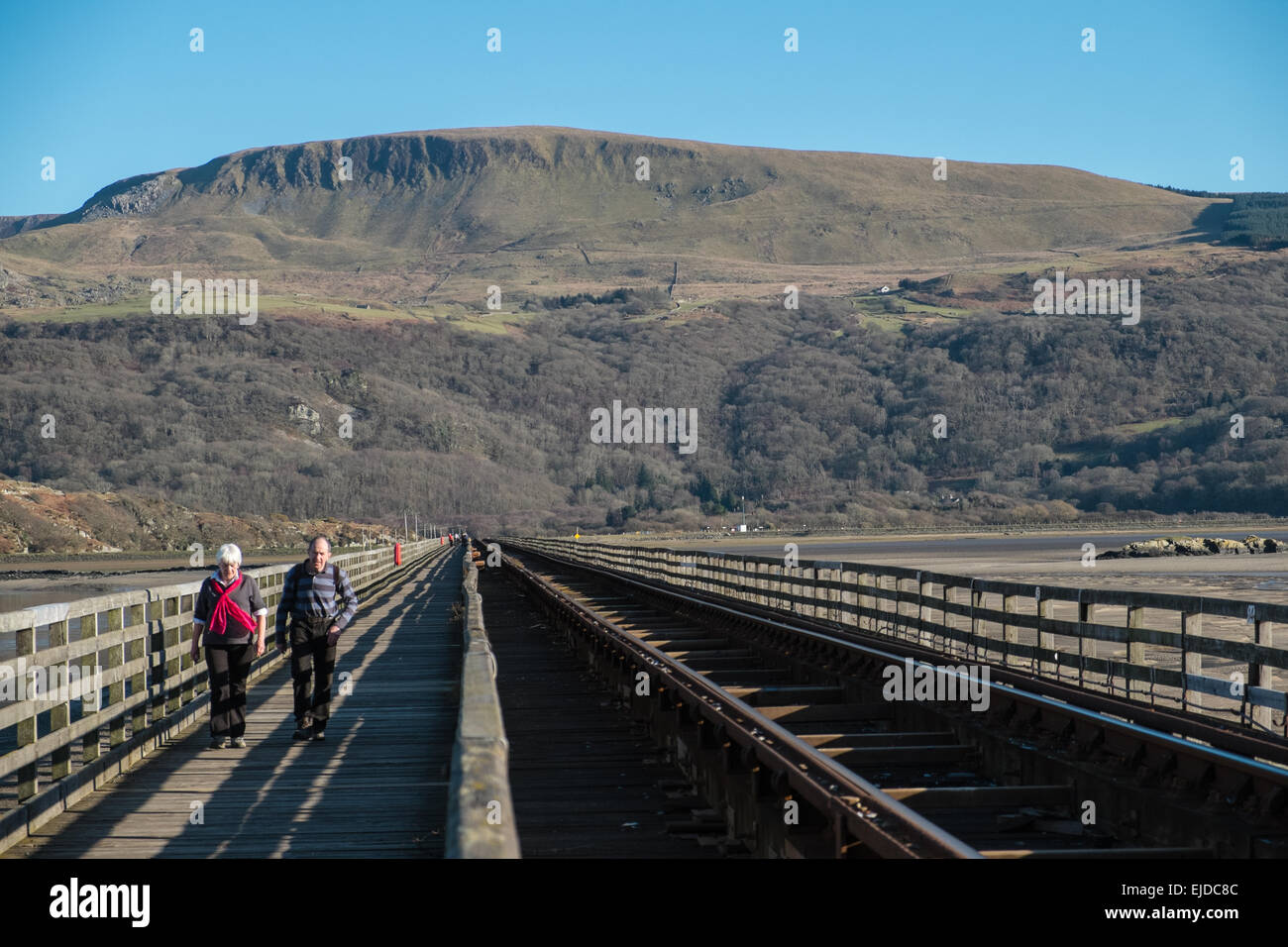 Votato come uno dei più scenografici viaggi ferroviari in U.K.questo treno costiero linea per Barmouth attraversa il ponte sul fiume Mawddach/estuario Foto Stock