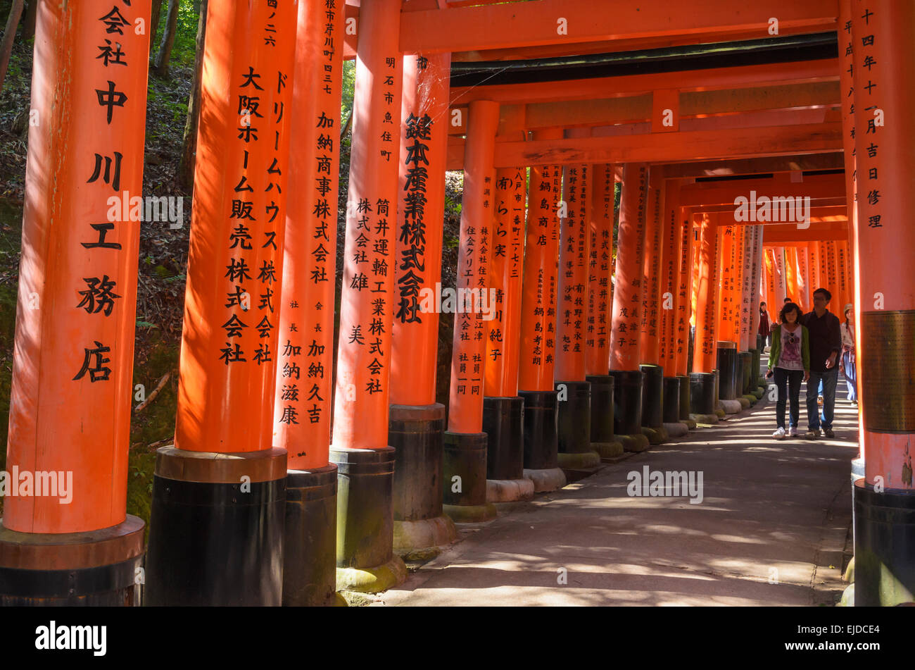 Vermiglio torii gates di Fushimi Inari Shrine, Fushimi-ku, Kyoto, Kansai, Giappone Foto Stock
