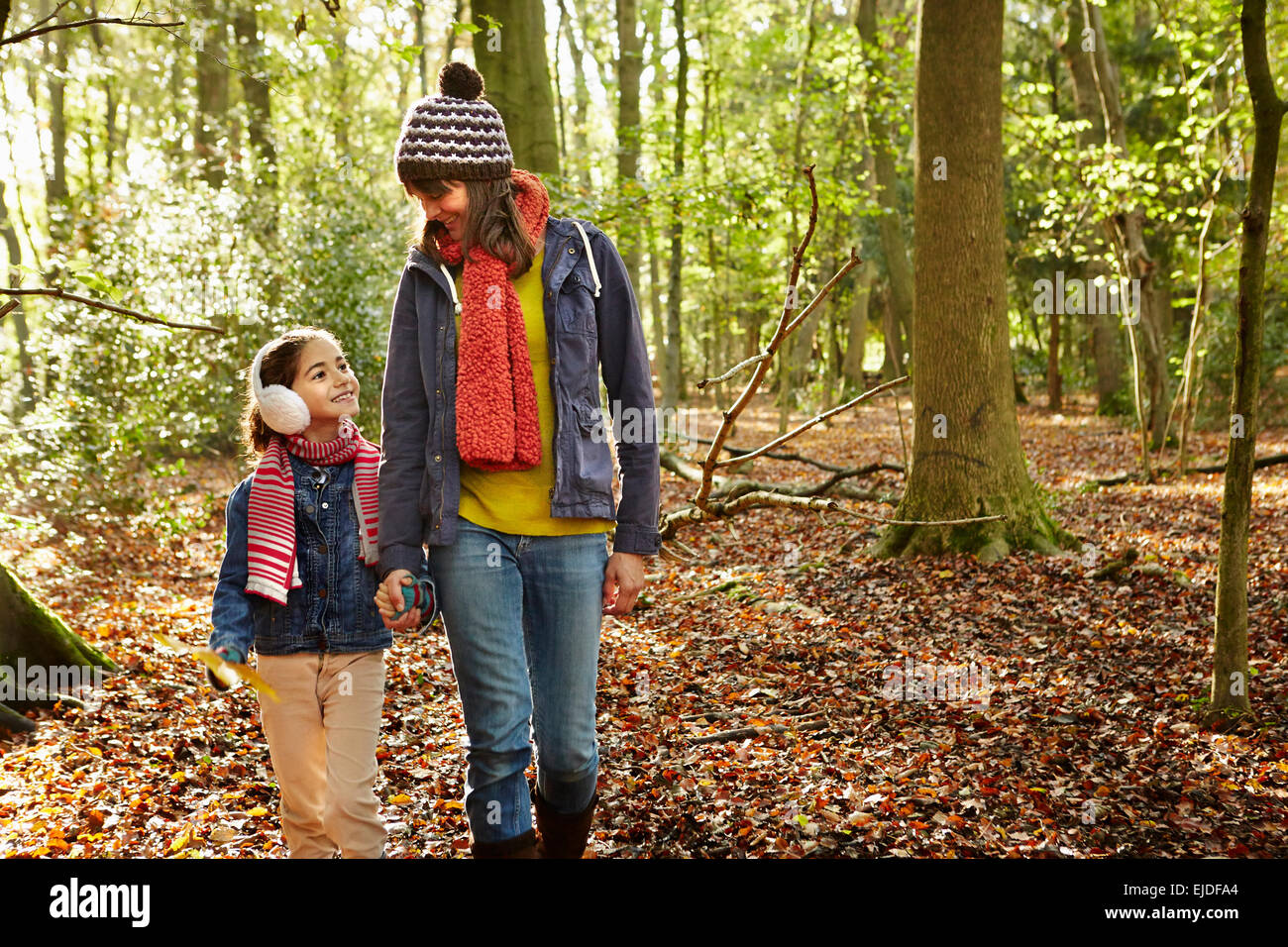 Boschi di faggio in autunno con il verde e il rosso autunnale e il fogliame di colore arancione. Foto Stock