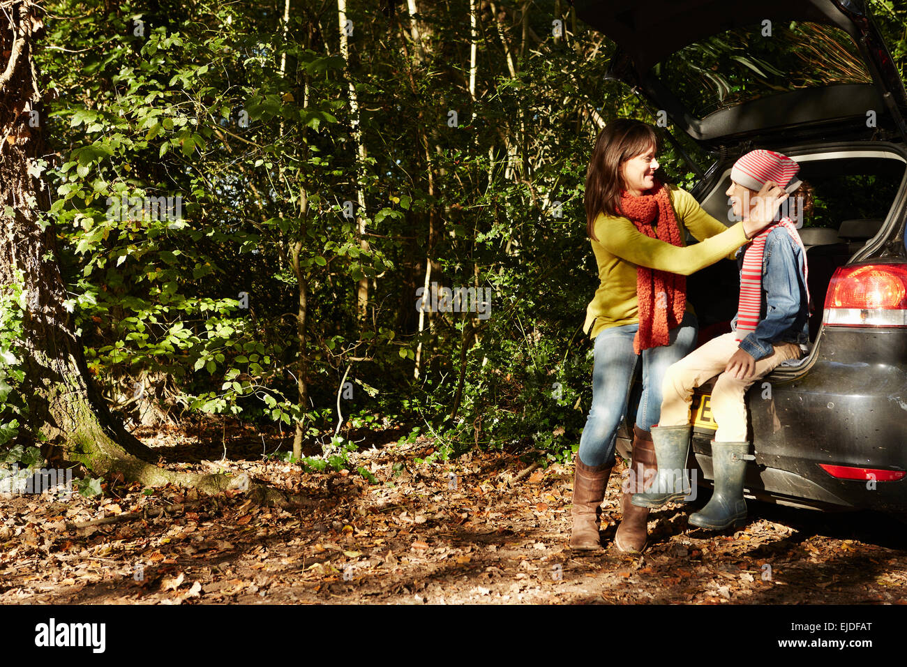Boschi di faggio in autunno con il verde e il rosso autunnale e il fogliame di colore arancione. Foto Stock