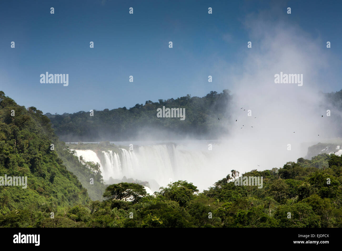 Argentina, Iguazu Falls, vista in lontananza Garganta el Diablo cascata Foto Stock