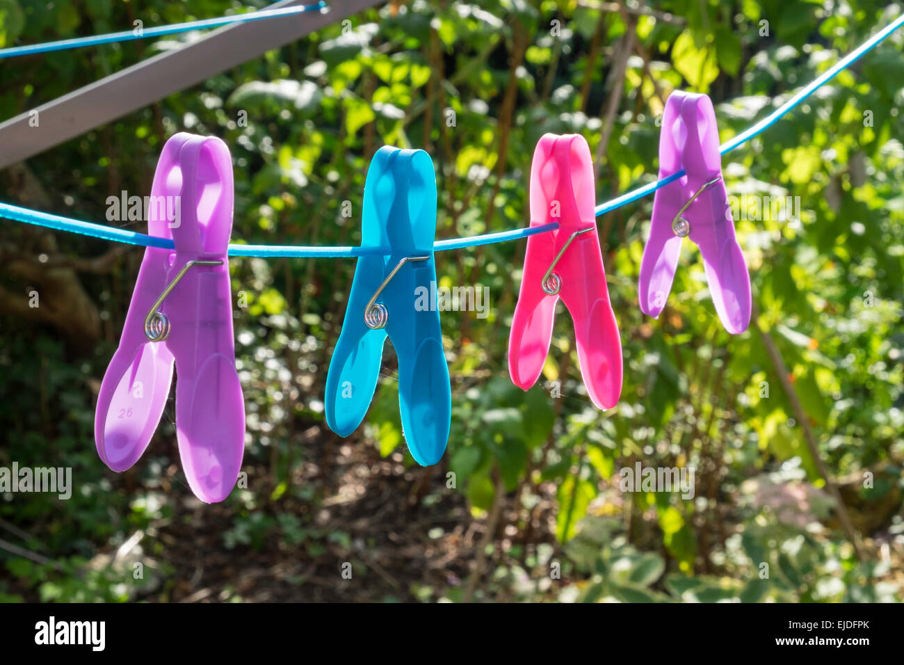 Quattro vivacemente colorato/vestiti colorati-pioli sul rotary linea di abbigliamento nel giardino interno Gloucestershire England Regno Unito Foto Stock