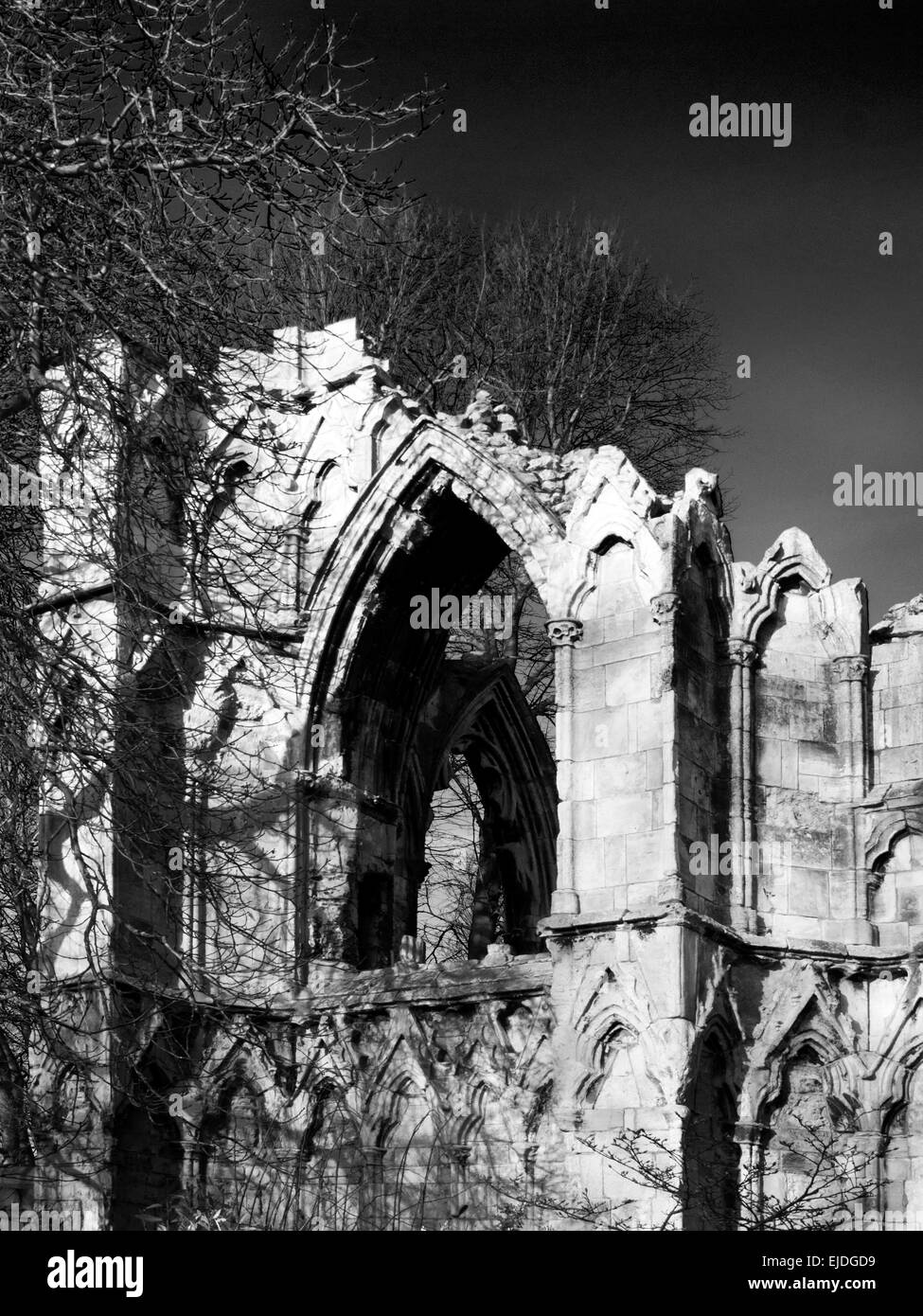 St Marys Abbey rovina nel Museo Giardini York North Yorkshire, Inghilterra Foto Stock