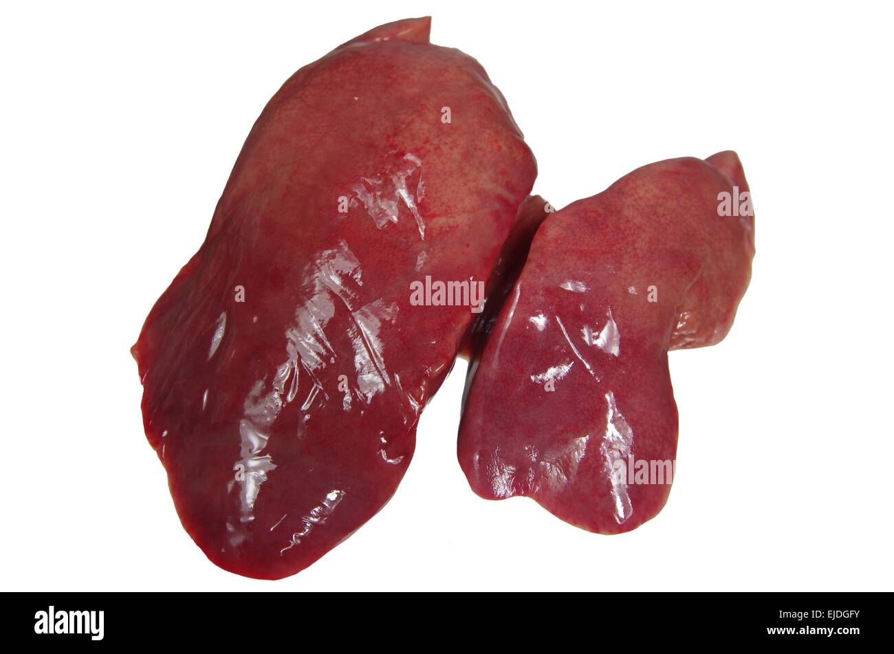 Il pollo crudo fegato isolato su sfondo bianco Foto Stock
