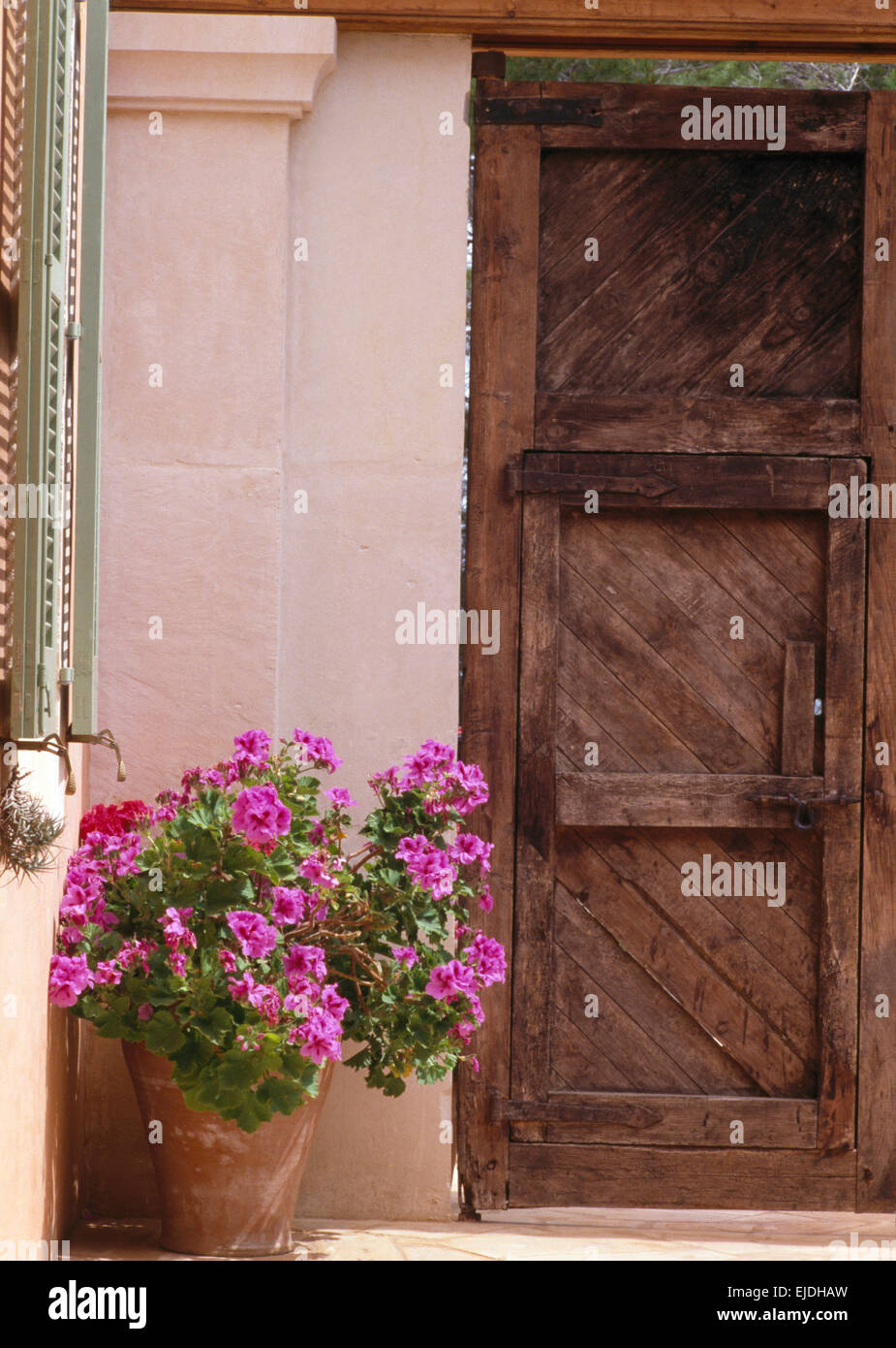 Rosa luminoso pelargoniums in una pentola di terracotta accanto in legno intagliato porta della villa spagnola Foto Stock