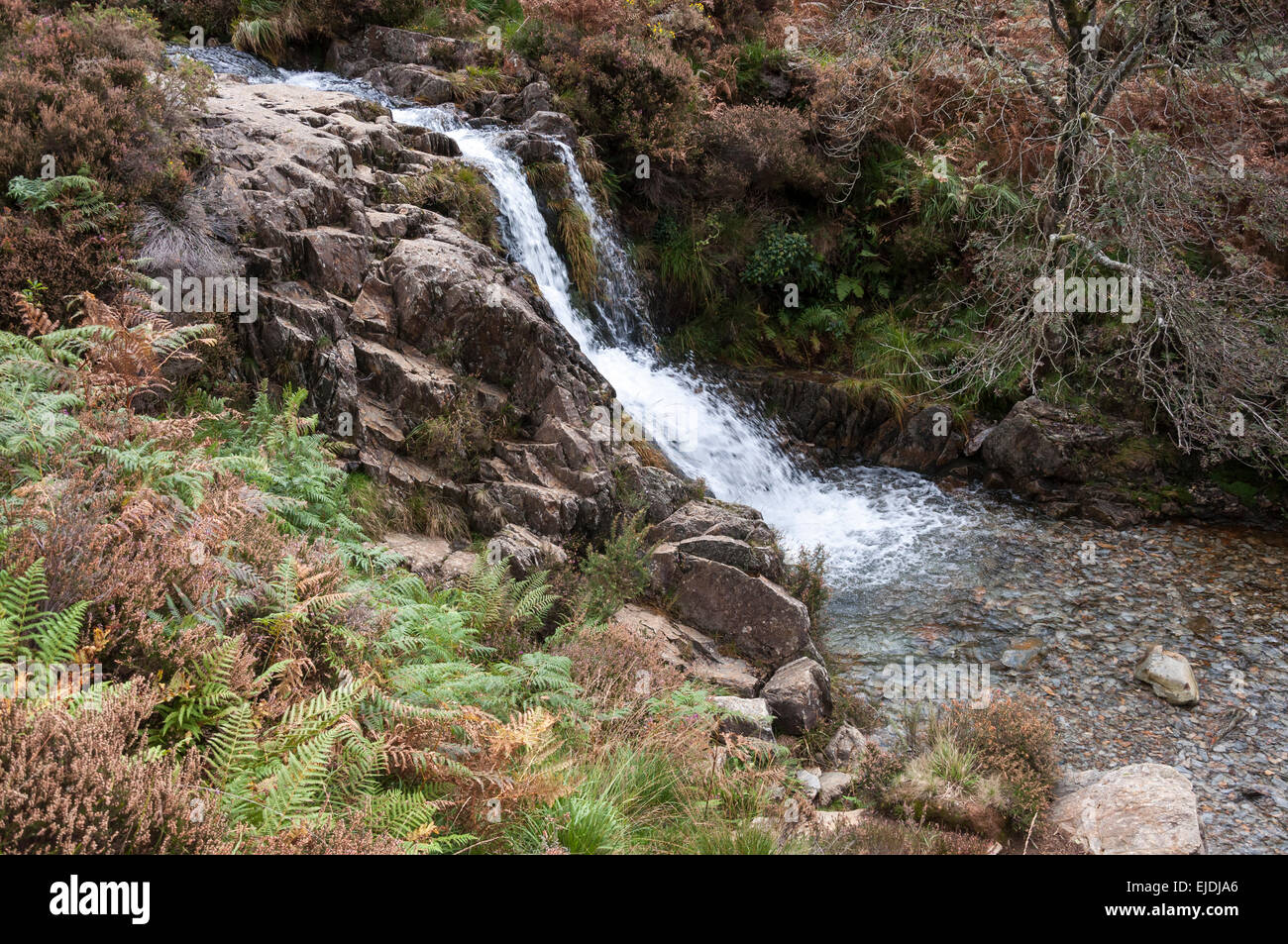 Una montagna rocciosa stream vicino Beddgelert in Snowdonia. I colori autunnali nella vegetazione. Foto Stock