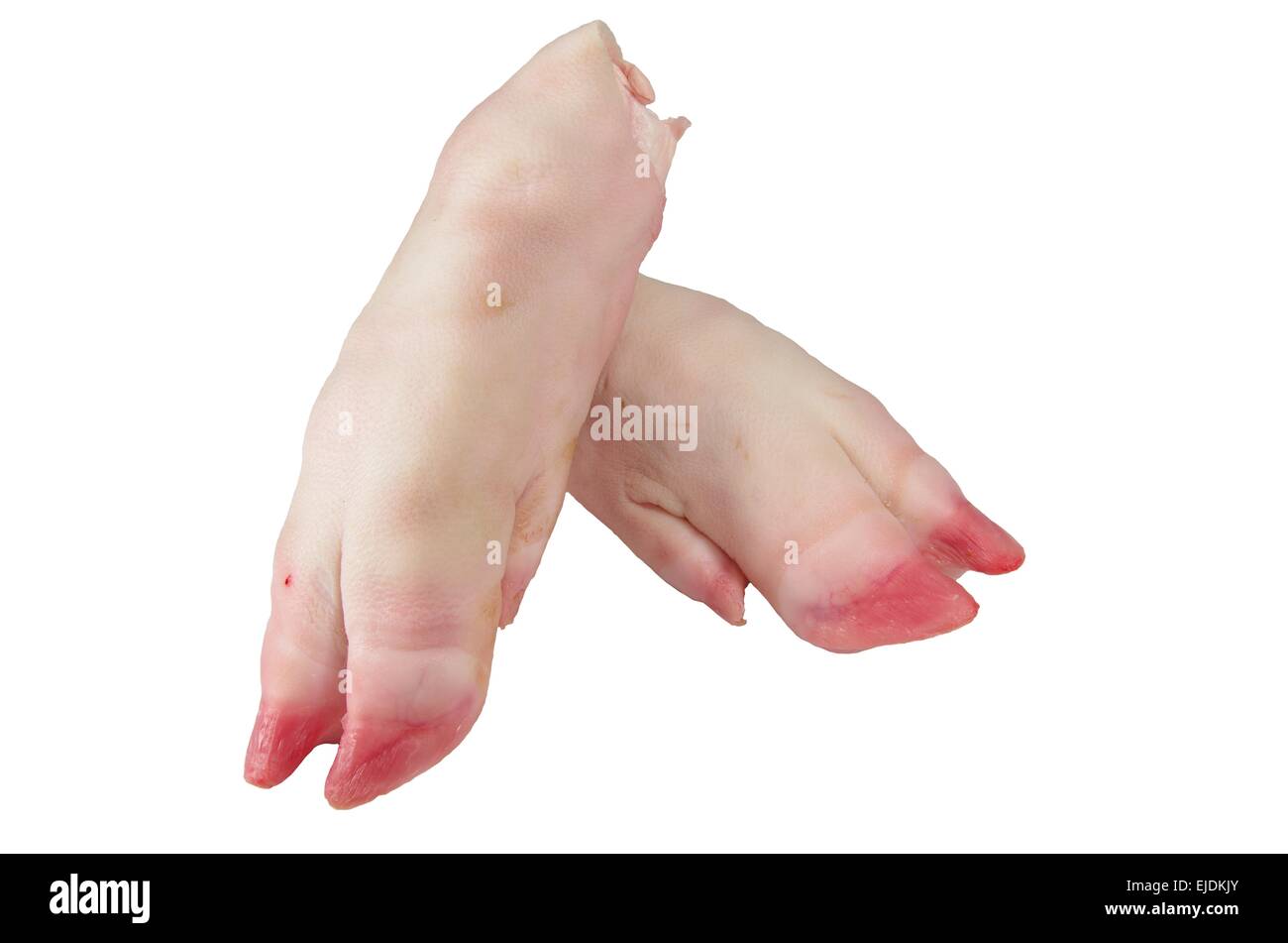 Carne di maiale cruda gambe su di uno sfondo bianco Foto Stock