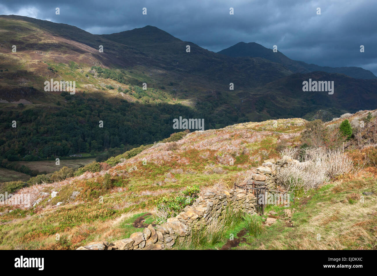 Muro di pietra e di gate sulle colline sopra Beddgelert in Snowdonia. Impressionante paesaggio montuoso. Foto Stock