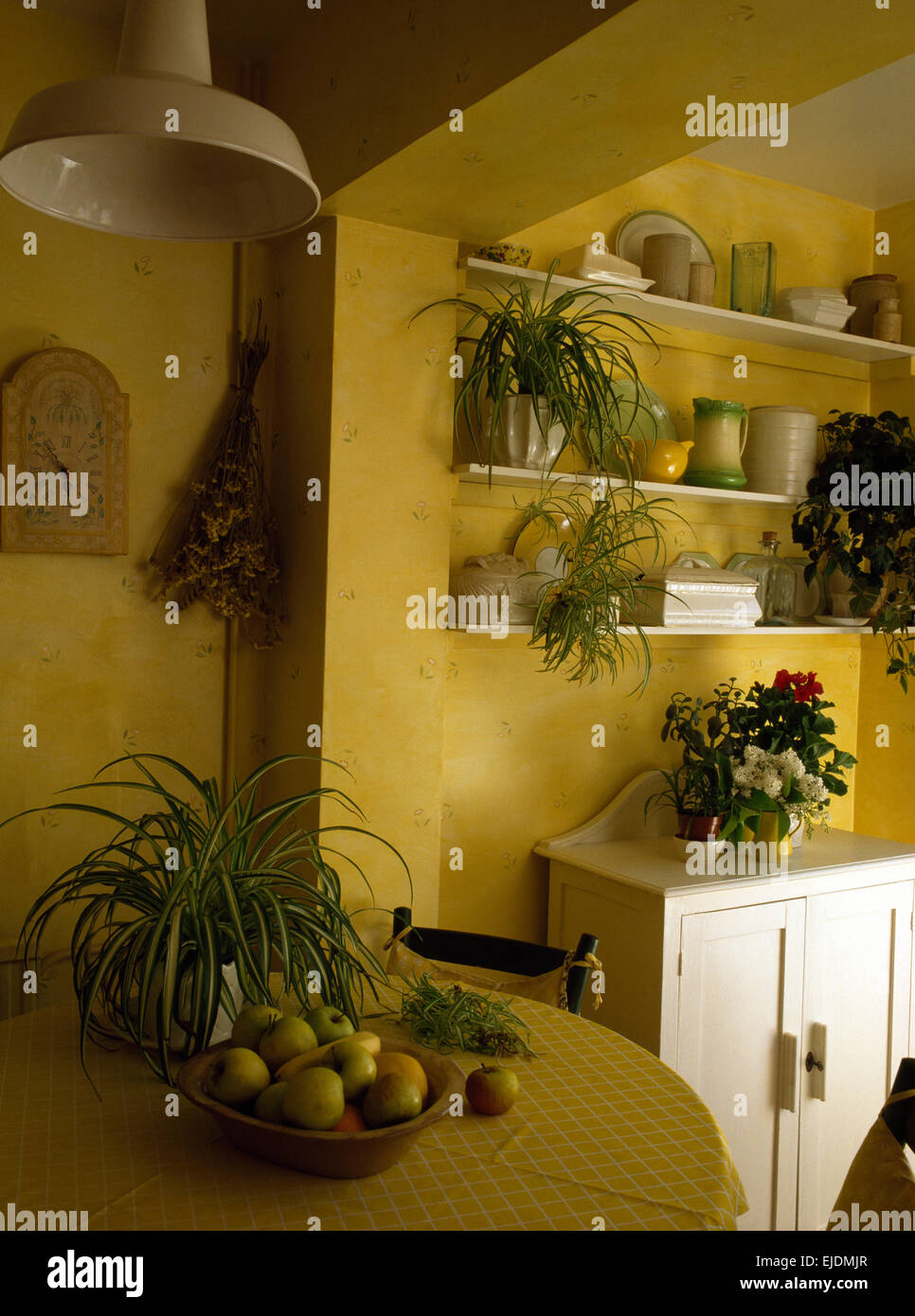 Spider piante su scaffalature e tabella in giallo degli anni ottanta cucina sala da pranzo Camera Foto Stock