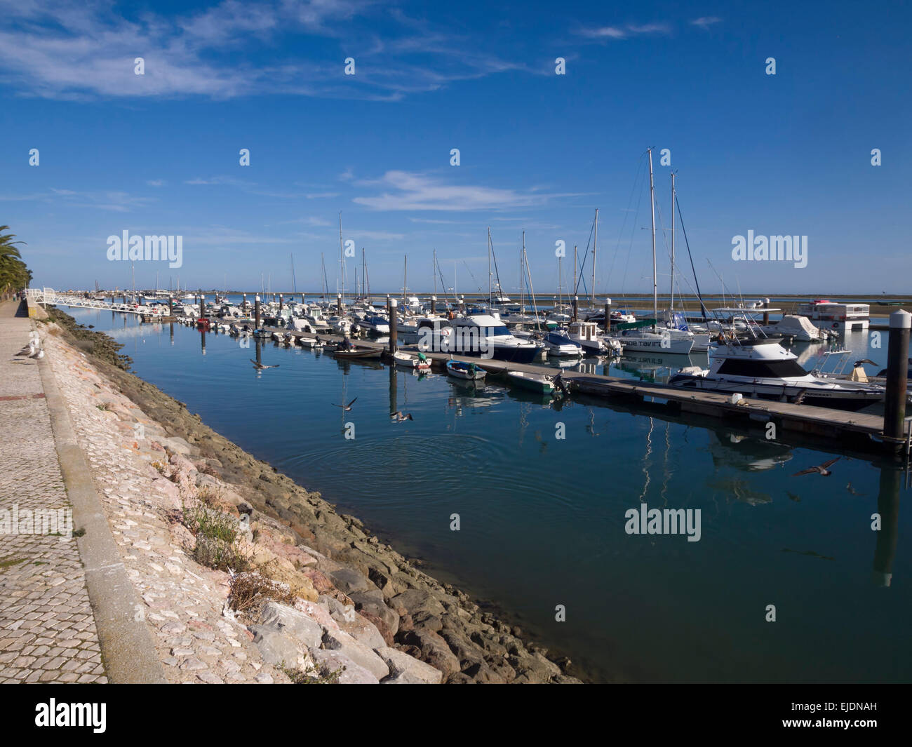 Barche a marina di Ria Formosa, Tavira, Algarve, PORTOGALLO Foto Stock