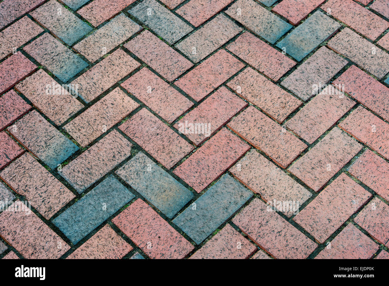 Giardino a spina di pesce del modello di percorso Foto Stock