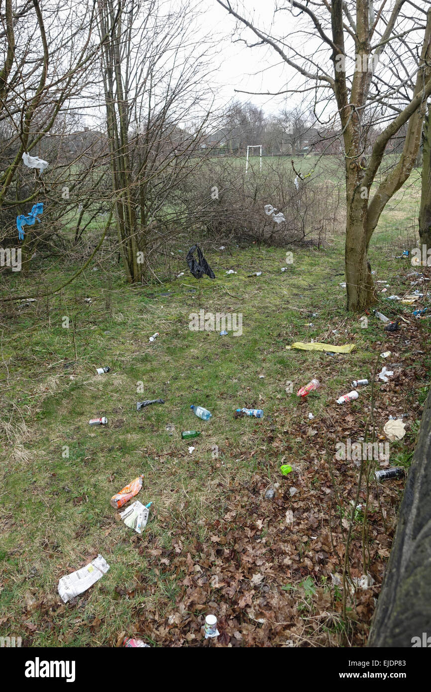 Cucciolata, cestino di plastica, vetro, bottiglie, lattine, borse e fast food cartoni attorno ad un consiglio estate in Bradford, West Yorkshire. Foto Stock