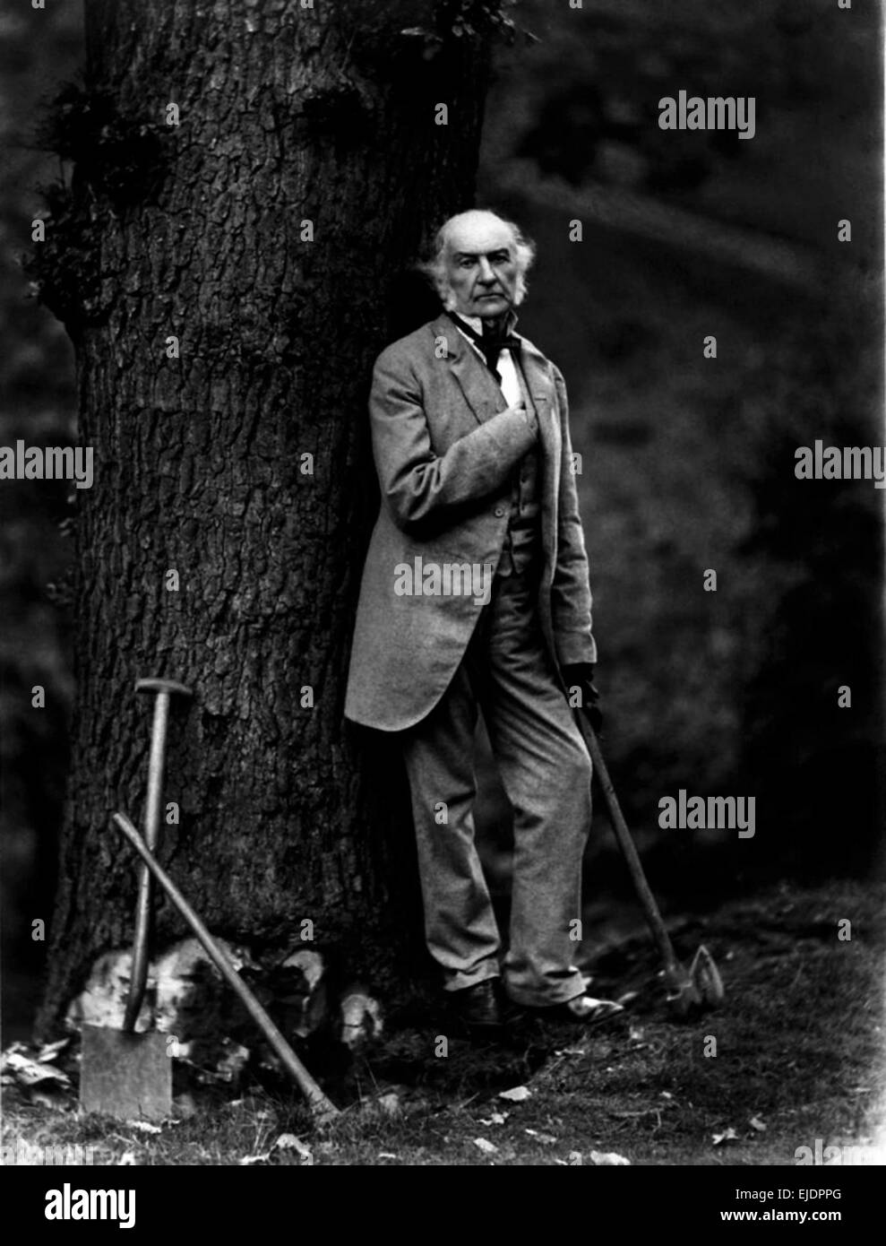 William Ewart Gladstone, ex Primo Ministro del Regno Unito Foto Stock