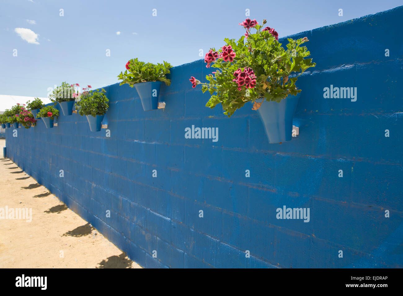 Parete con vasi di fiori. Cordoba stand fieristici, Andalusia, Spagna Foto Stock