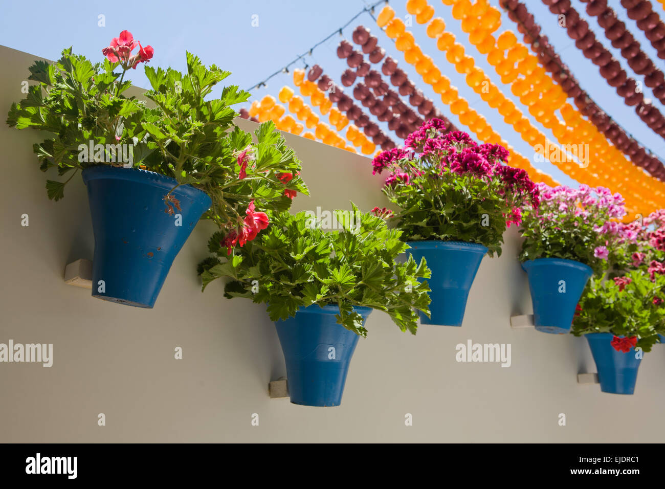 Parete con vasi di fiori. Cordoba stand fieristici, Andalusia, Spagna Foto Stock
