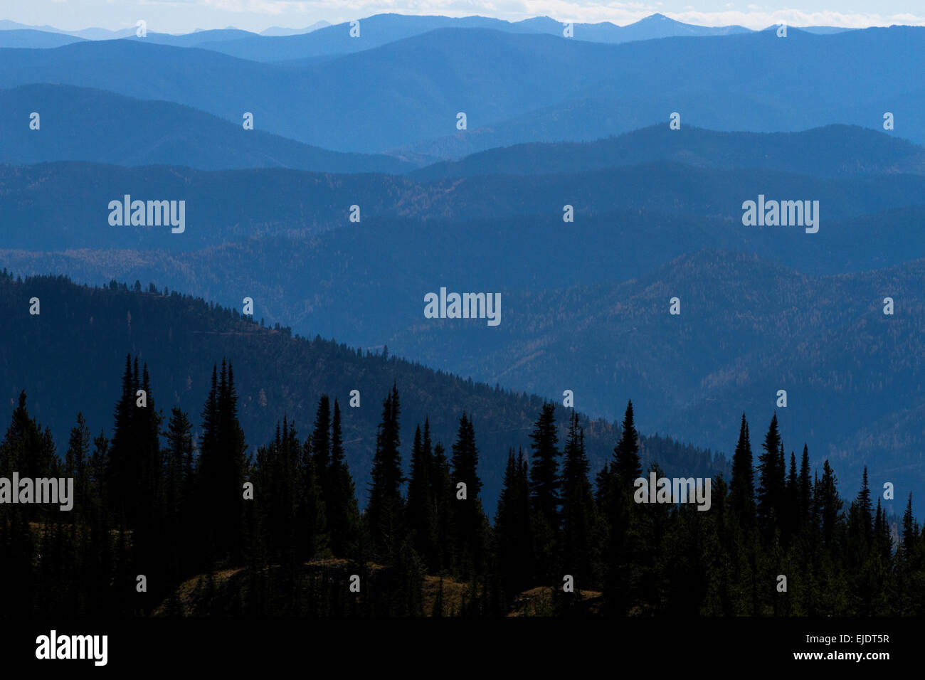 Una vista della Saphire e Pintler montagne dalla cima del Punto blu in Rattlesanke Recreation area nei pressi di Missoula, Foto Stock