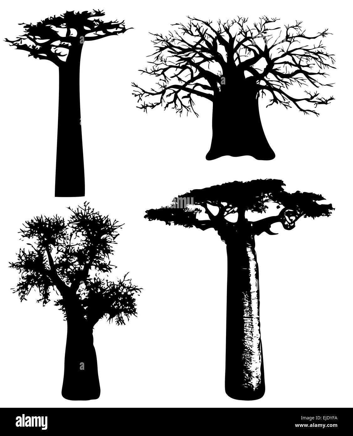 Vector africana di alberi e cespugli Illustrazione Vettoriale