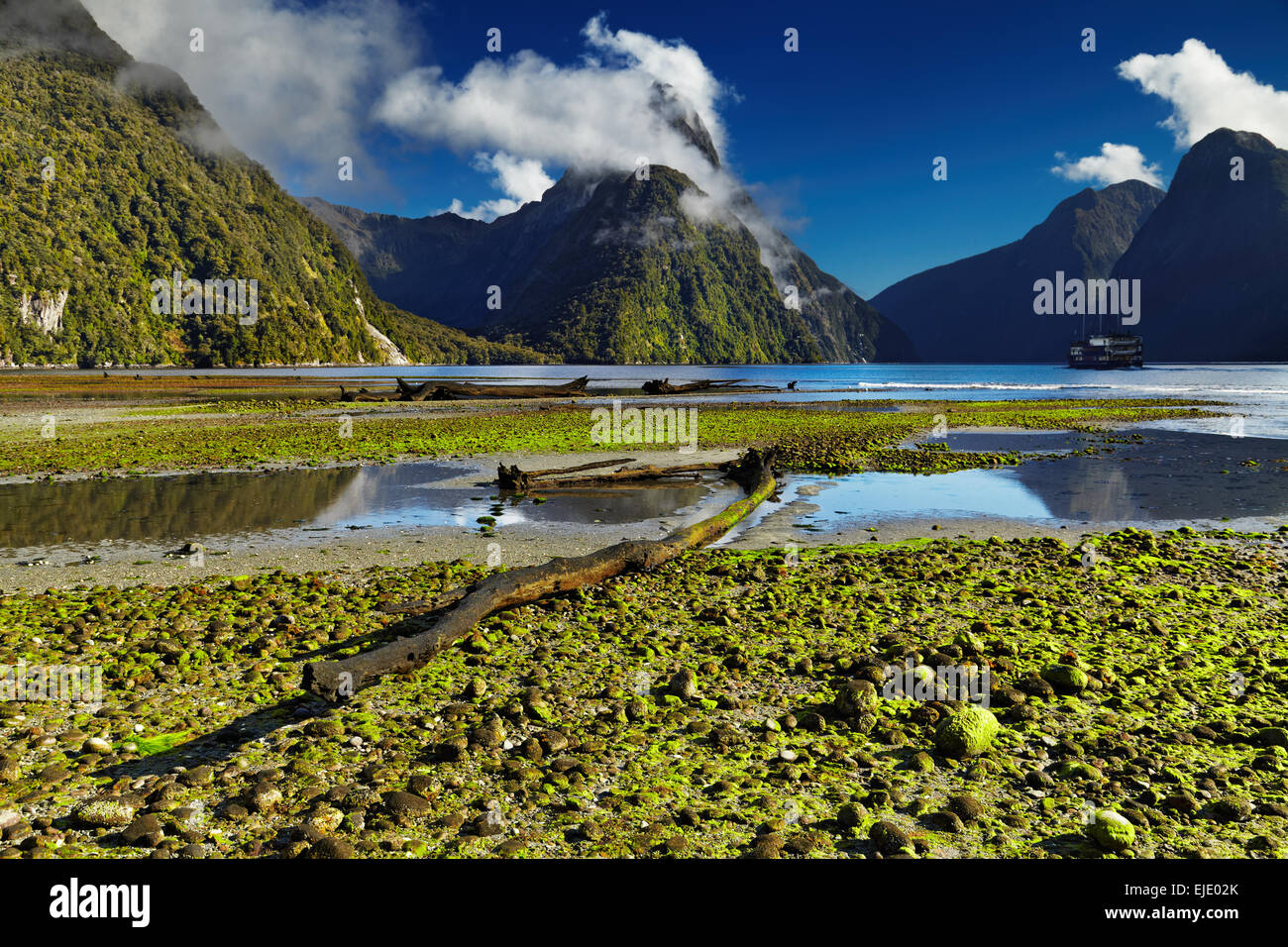 Milford Sound, Isola del Sud, Nuova Zelanda Foto Stock