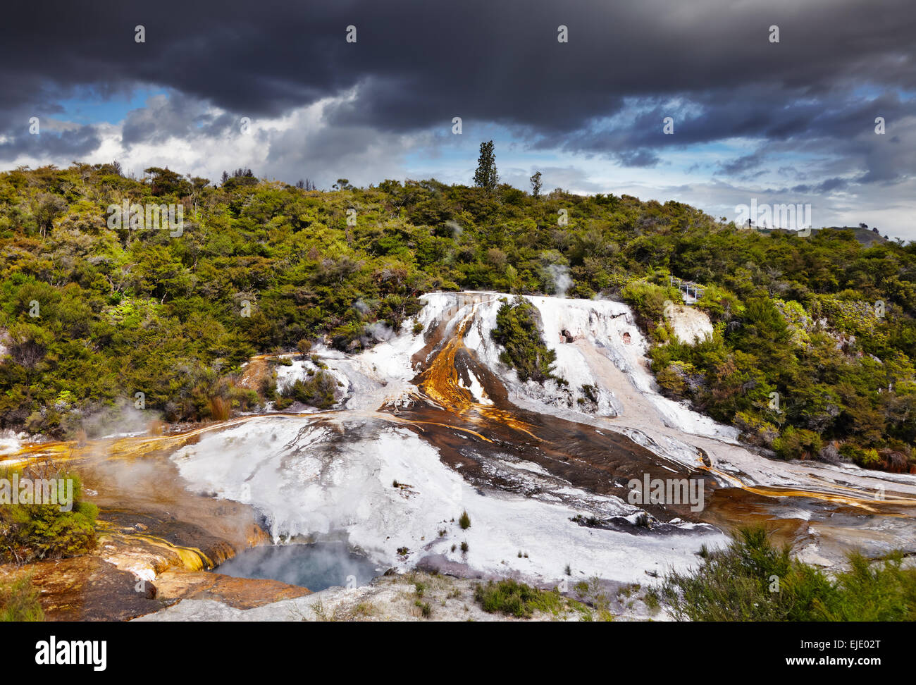 Orakei Korako geotermal area, Nuova Zelanda Foto Stock