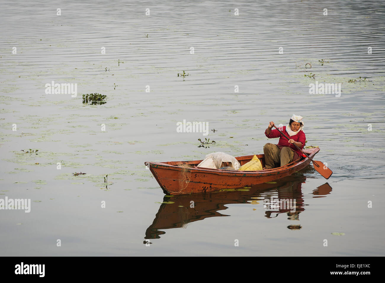 Fisher nel lago Phewa Foto Stock