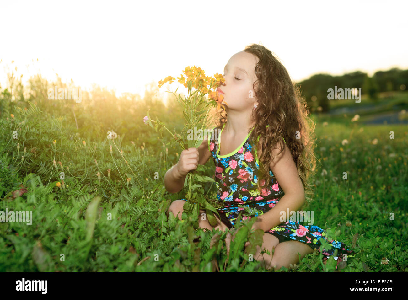 Bambina in sunset con fiore Foto Stock