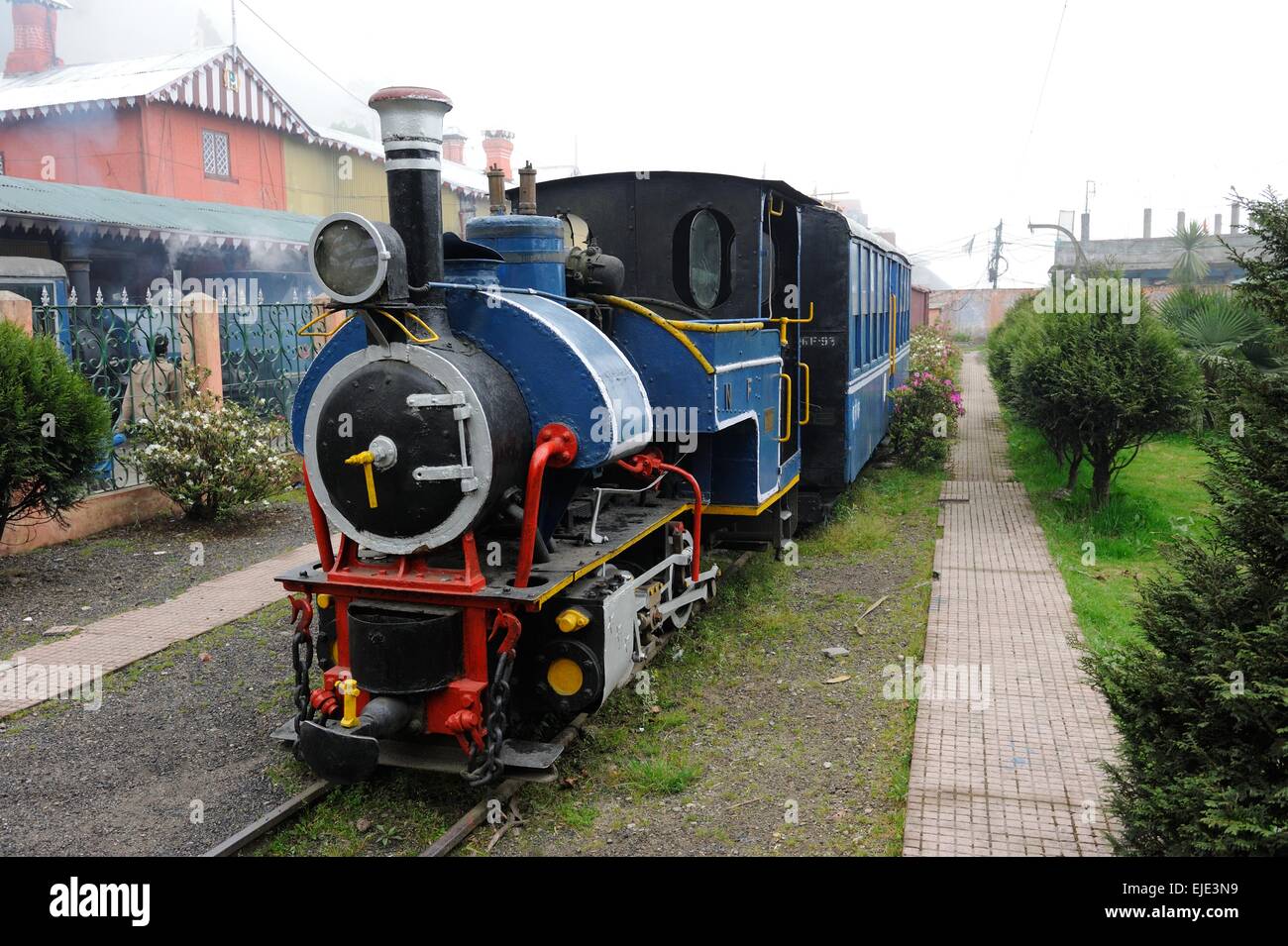 Toy Train di Darjeeling, India Foto Stock