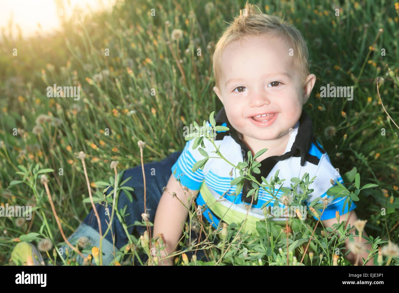 Little Boy al tramonto in un campo Foto Stock