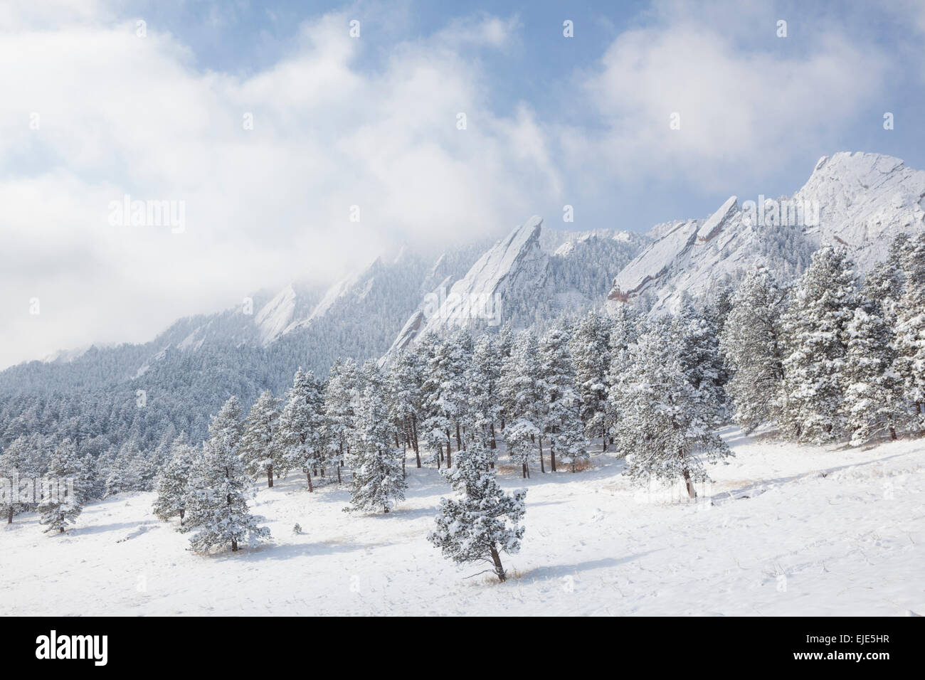 Il Flatirons nella neve, Chautauqua Park, Boulder, Colorado. Foto Stock