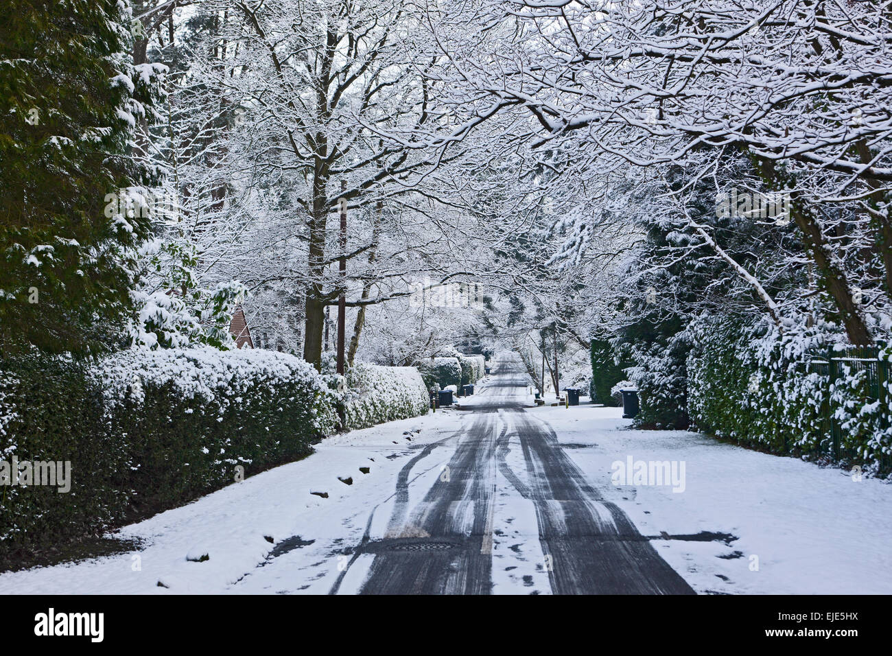 Wintery road a Hookheath a Woking/ Inghilterra Foto Stock