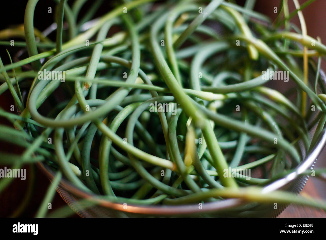 Una ciotola di aglio vedute Foto Stock