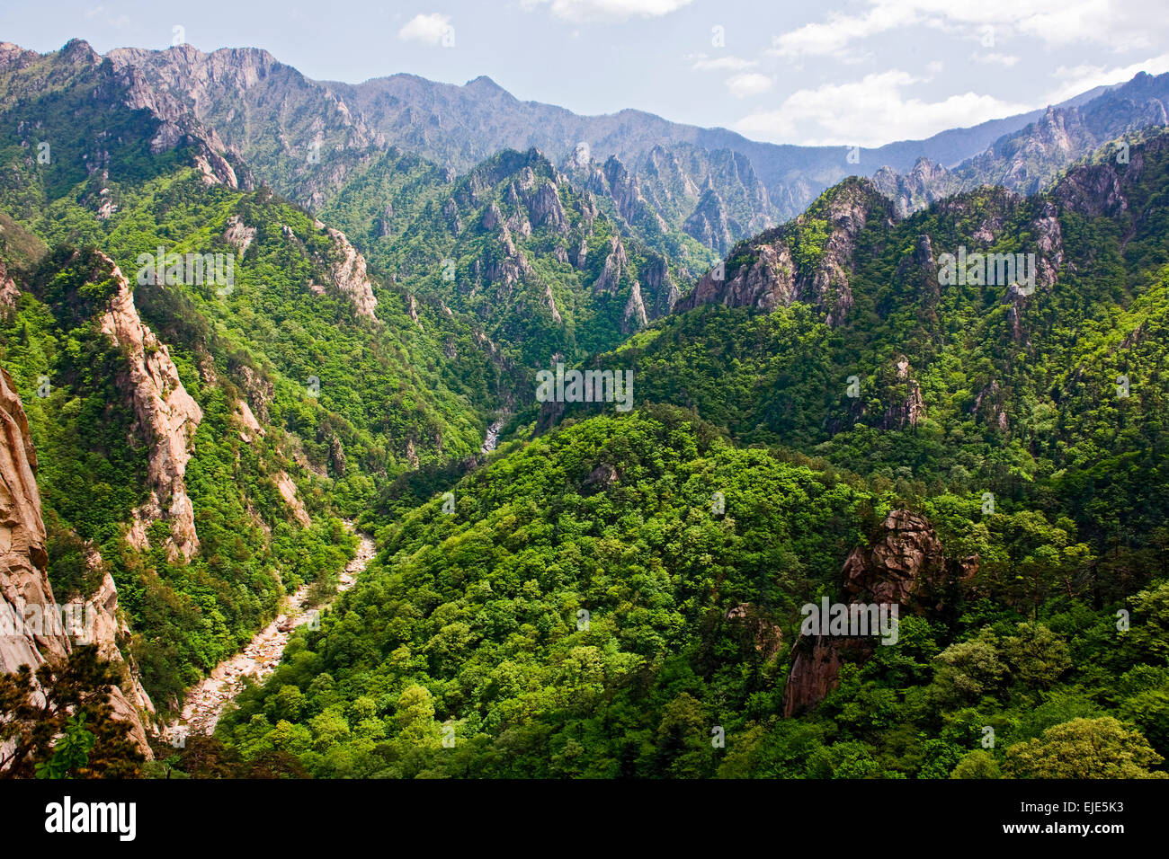 Panorama di montagna a Seoraksan Nationalpark / Corea del Sud Foto Stock