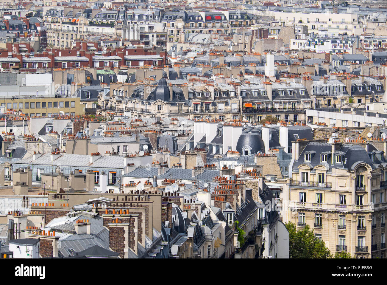 Architettura distintiva sui tetti di Parigi, Francia Foto Stock