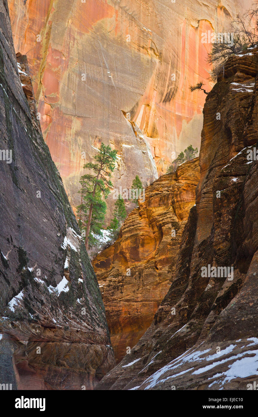 Secondo il punto di osservazione trail, Parco Nazionale Zion, Utah, Stati Uniti. In questa sezione del sentiero è Echo Canyon. Foto Stock