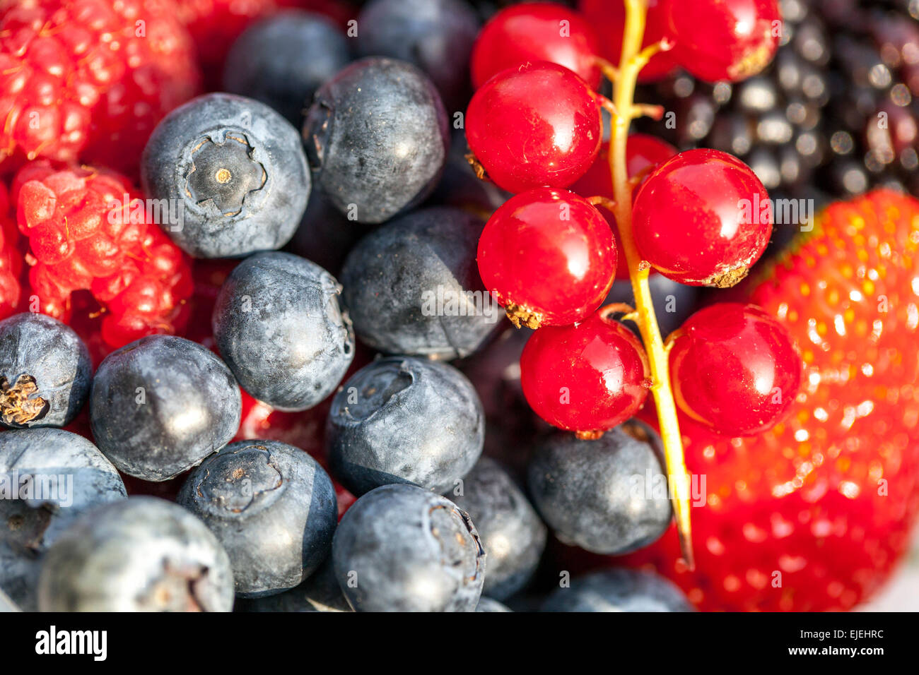 Diverse bacche colorate vicino blackberry fragole frutti di mirtillo Foto Stock