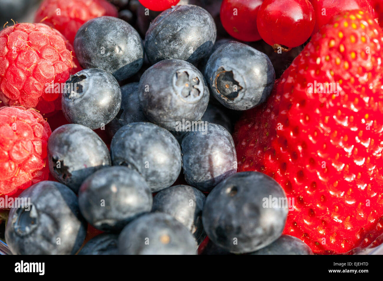 Fragole, mirtilli primo piano su consistenza frutti lusciosi Foto Stock