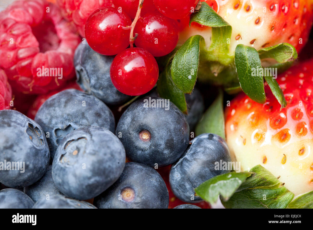Primo piano mirtillo, beriri di frutta Foto Stock