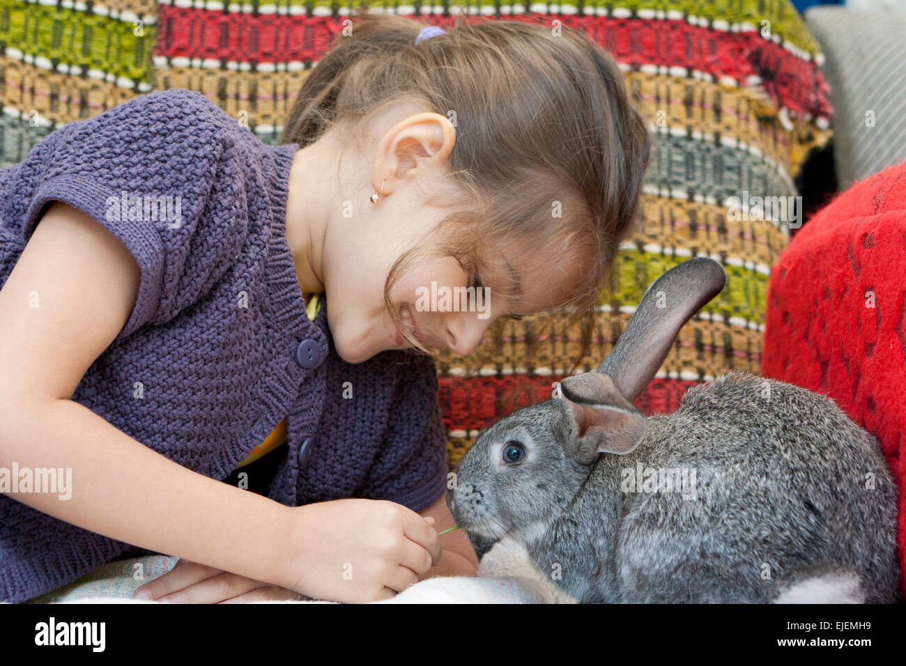 Ragazza carina alimentare un piccolo coniglietto grigio Foto Stock