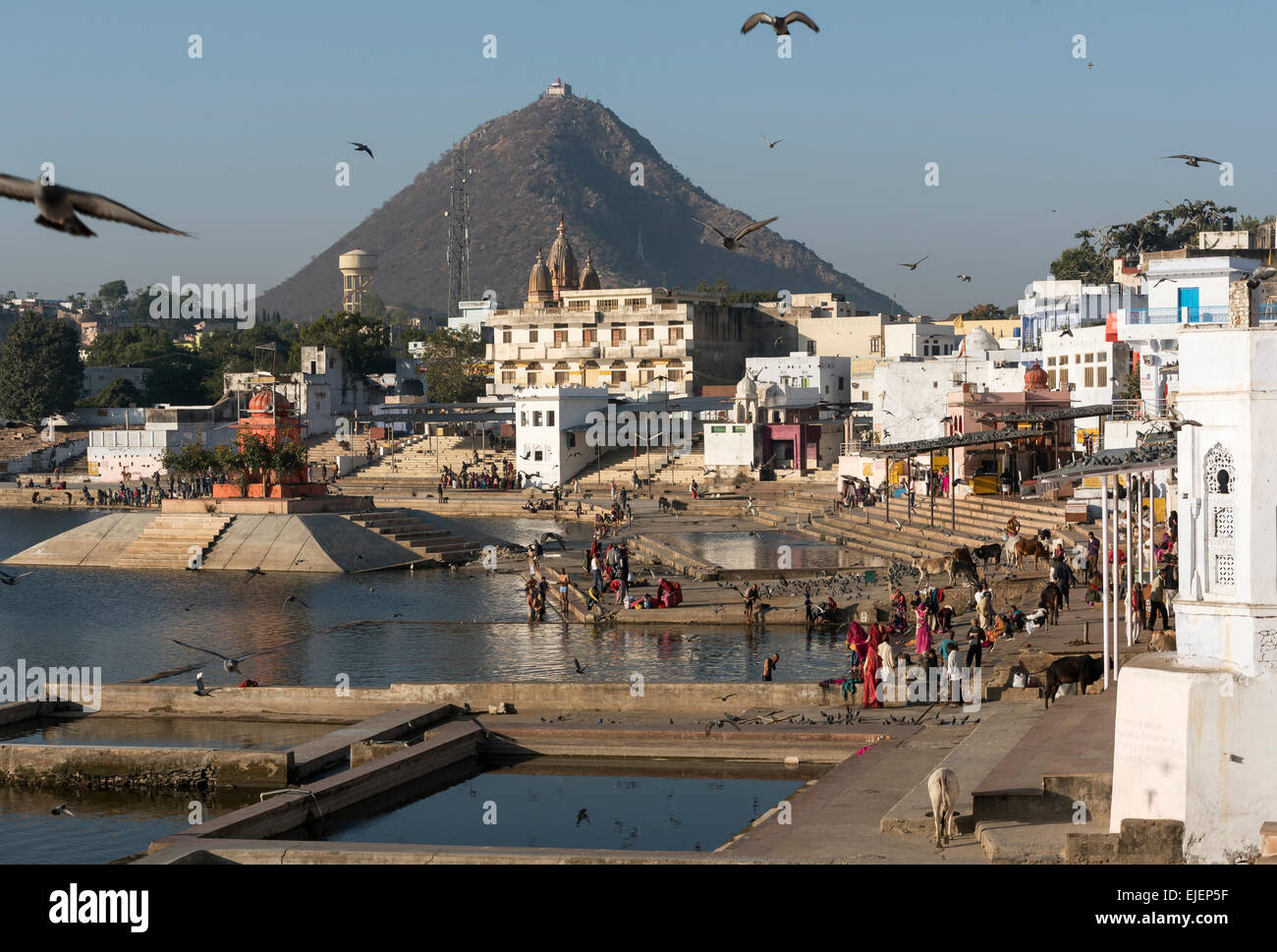 Lago di Pushkar Ghats, Rajasthan, India Foto Stock