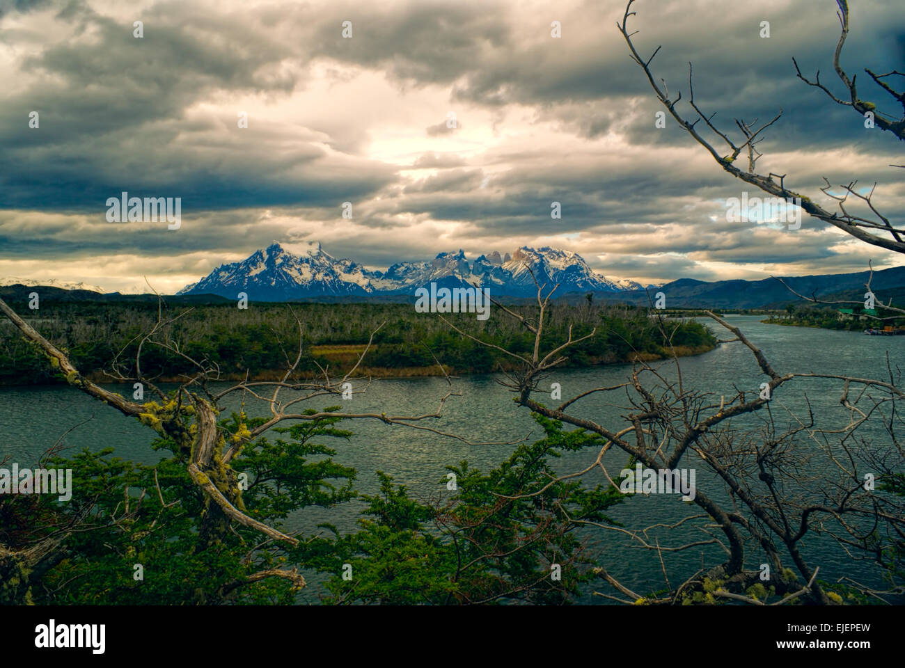 Una vista pittoresca del fiume di Torres del Paine in sud americana Andes Foto Stock