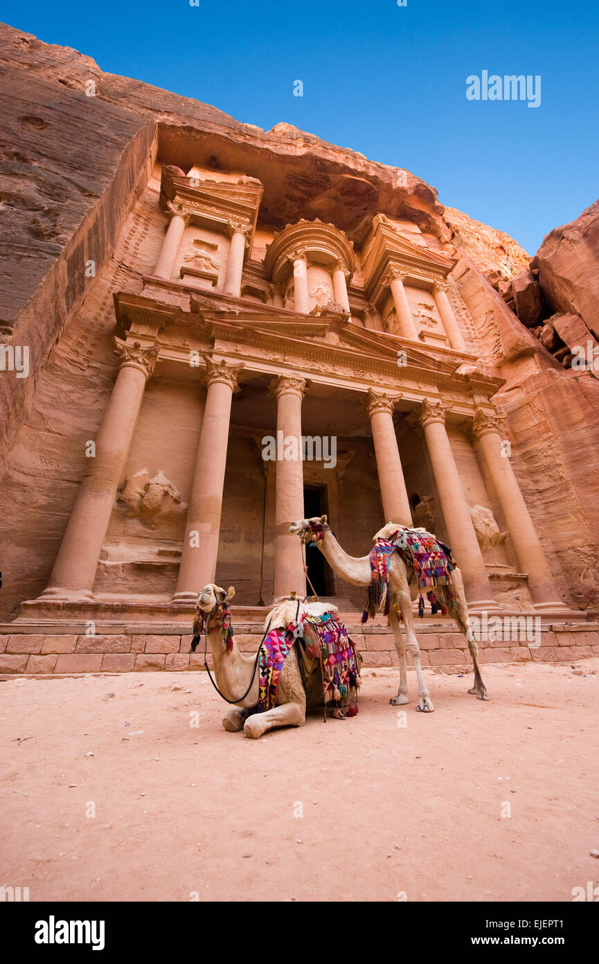 Il tesoro o al Khazna, è la più magnifiche e famosa facciata in Giordania Petra, è alta 40 metri, 2014 in Giordania Foto Stock