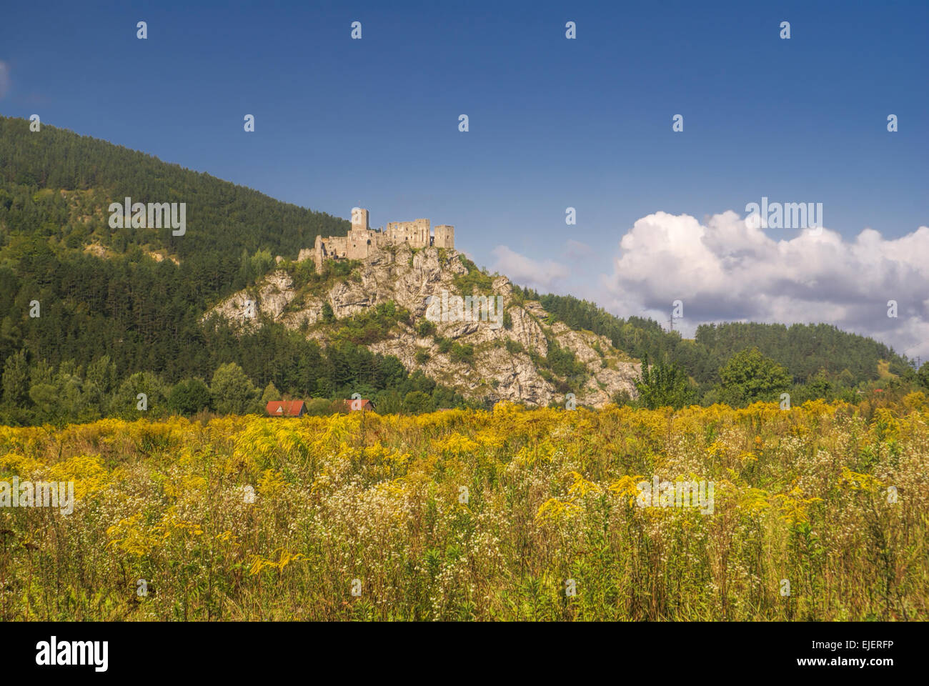 New Scenic 5 posti le rovine del Castello di Strecno in Slovacchia Foto Stock