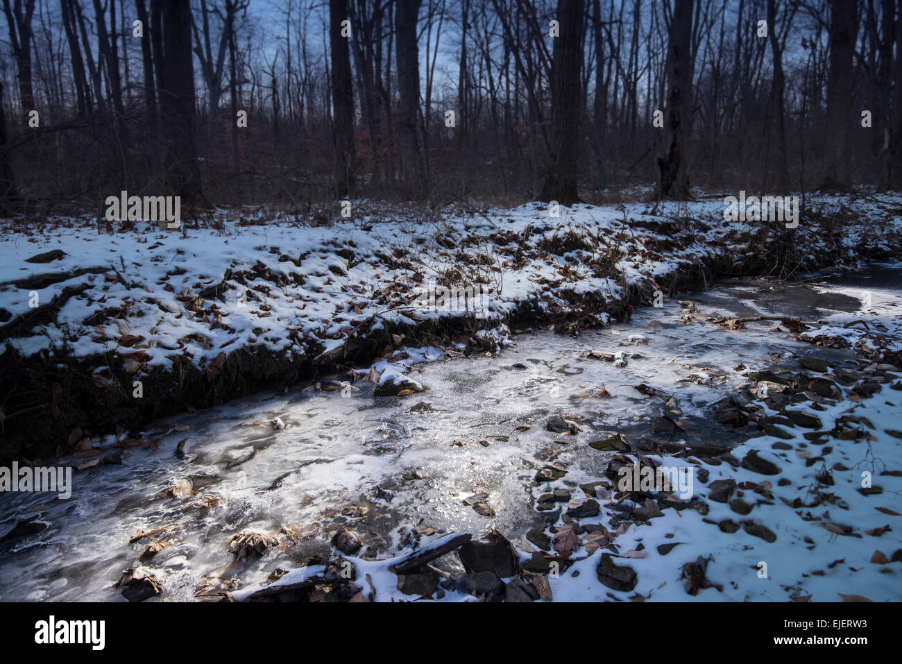 Acqua di ruscello ghiacciata nella foresta, Pennsylvania USA Foto Stock