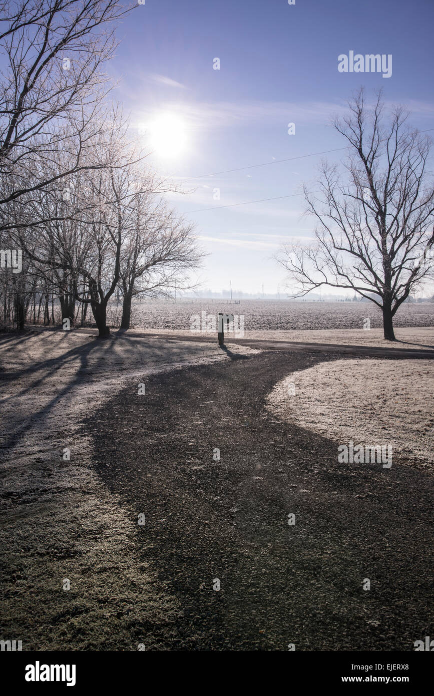 Inverno viale con Frost & Sun Foto Stock