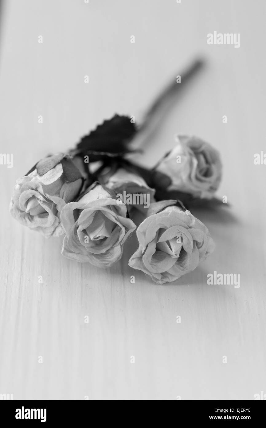 Rose di carta bianca su sfondo di legno Foto Stock