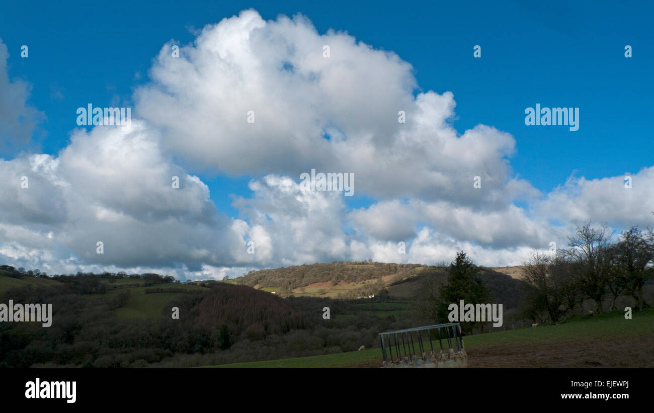 Carmarthenshire, Wales, Regno Unito. 25 marzo, 2015. Sventolano cumulous nuvole galleggiante su una molla rurali paesaggio paesaggio agricolo in Carmarthenshire Galles occidentale vicino a Llandovery UK. Bel tempo e cieli blu sono ben presto ad essere sostituito con cloudcover, pioggia e vento freddo nei prossimi giorni. Credito: Kathy deWitt/Alamy Live News Foto Stock